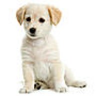 uk2244451@sltadsl.lk