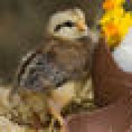 nethmigeethani@yahoo.com