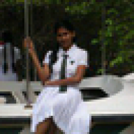amarakodi