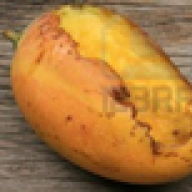 Lankava