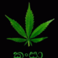 Ganja kolla