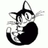 Cool Kitty