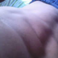 bixinhovidalouca