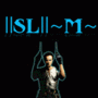||SL||~M~