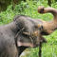 srilankatourguider