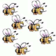 Mr_Bee
