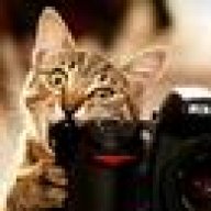 Nikon Boy