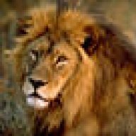 ~||The_Lion||~