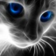 Ghost Cat
