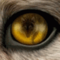 ThirdEye001