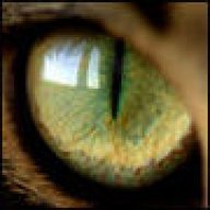 ThirdEye