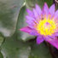 ෆින්ෆා උතුමාණෝ