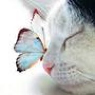 omlate