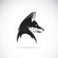 Fox_1