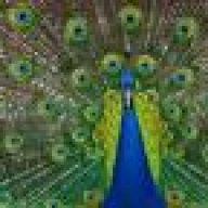 peacockone