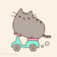 Mewan_Rose