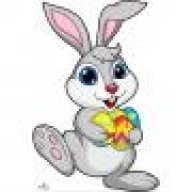 bunny16