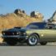 mustang3
