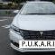 PUKARIS