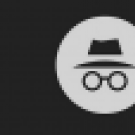 in_cognito
