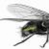 Boomslang