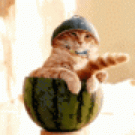 Red-Cat