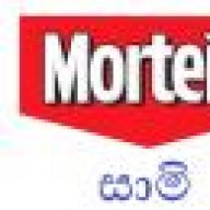 Mortein-Saami