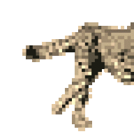 basnayaket