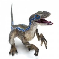 raptor_d91