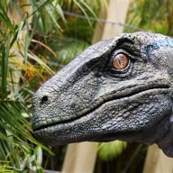 Raptor_Blue
