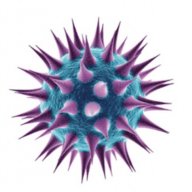 themicrobe