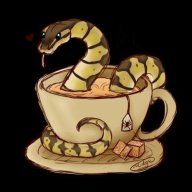 PythonBuwa