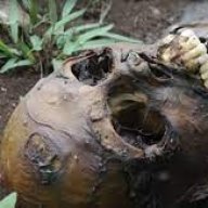 Corpse Grinder