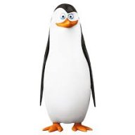Kowalsqi