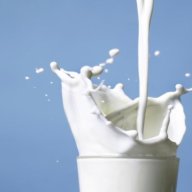 Fresh Milk