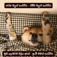 udniraj