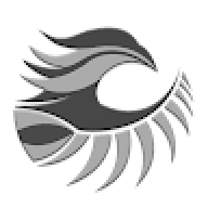 falcon_1001