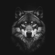 foxeon