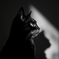 black_box