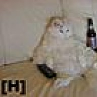 hasi050