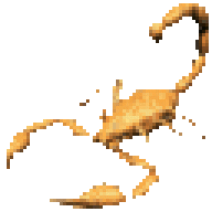 Chanakaind