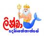322784.jpg