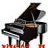 Visal_H