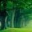 gayan.seven