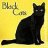 BLACK CATS