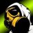 tharind007