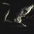 melz_hot