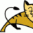 tom_cat