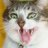 fozytroniks