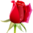 *******